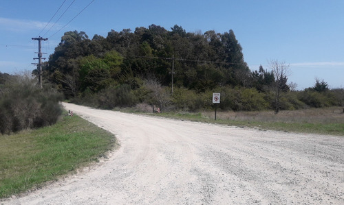 Chacra Campo Venta Veronica Punta Indio Victor Picech