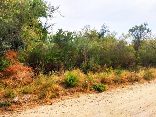 Imagen 4 de 6 de Terreno 1043 M2 L32 Venta Carpintería Arriba, Malvinas Y Arias