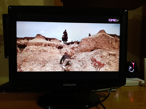 Televisor Samsung 19 Pulgadas Hd 1080i Led Basico (Usado)