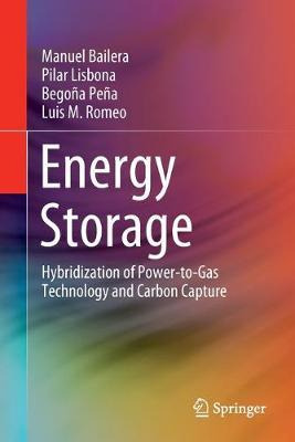 Libro Energy Storage : Hybridization Of Power-to-gas Tech...