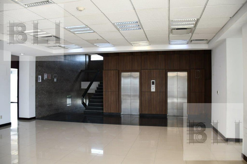 Imagen 12 de 30 de Edificio Comercial En Renta En La Colonia San Miguel Chapultepec