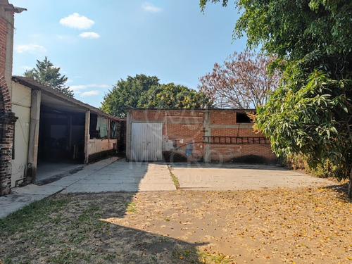 Bodega En Renta En Colonia Otilio Montaño