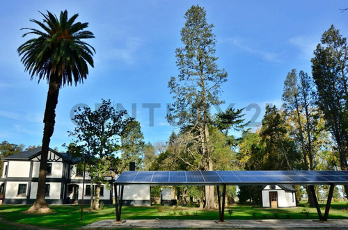 Lote En Venta - Tres Pinos Villa De Campo - Barrio Isla