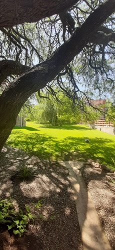 Venta O Consecion - Complejo De 4 Cabañas, 1 Casa, Piscina