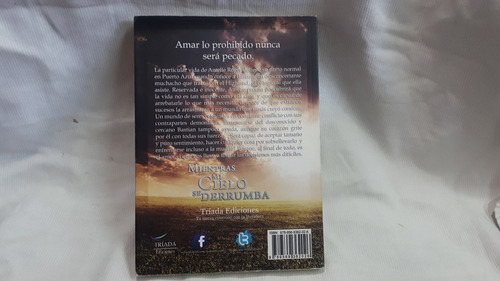 Imagen 3 de 5 de Mientras Mi Cielo Se Derrumba Matias Zitterkopf Triada