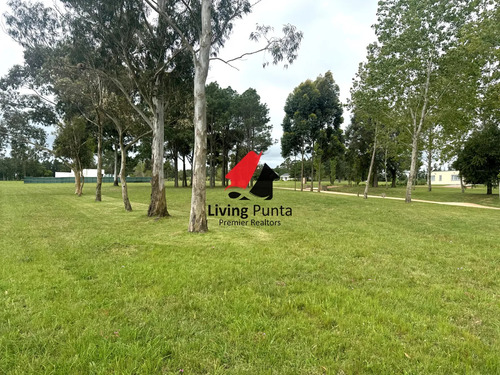 Hermoso Lote En Venta De 5000 Mtrs 2