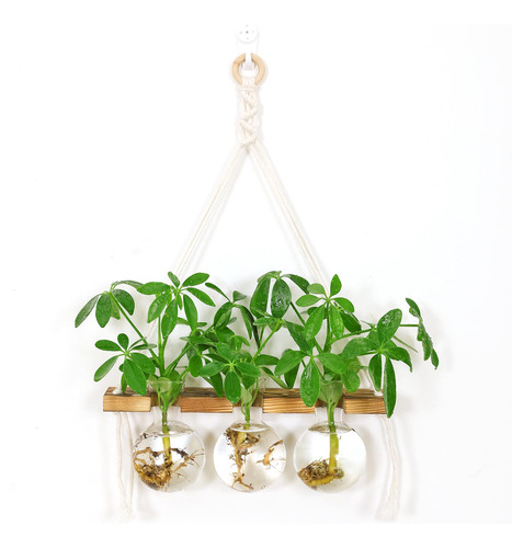 2 Jardineras Para Colgar En La Pared, Florero De Cristal