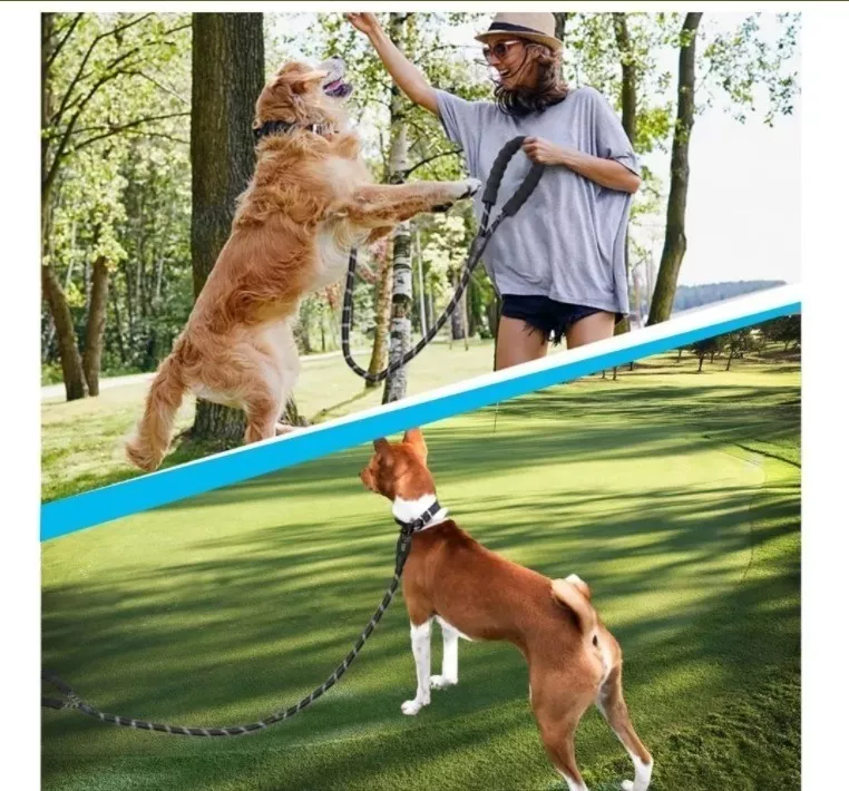 Primera imagen para búsqueda de correas para perros