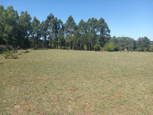 Gran Terreno Alquiler 7000 Mts. Próximo A Ruta Perimetral - Salida A Dos Calles, Zona Manga