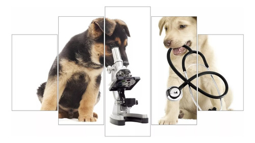 Quadro Decorativo Para Clinica Veterinária Cachorro Promoção