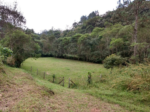 Imagem 22 de 30 de Sítio À Venda Em São Lourenço Da Serra; Sitio Com Piscina À Venda Em São Lourenço Da Serra Sp - 226 - 32982509