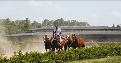 Imagen 6 de 9 de Terreno En Venta En Technopolo
