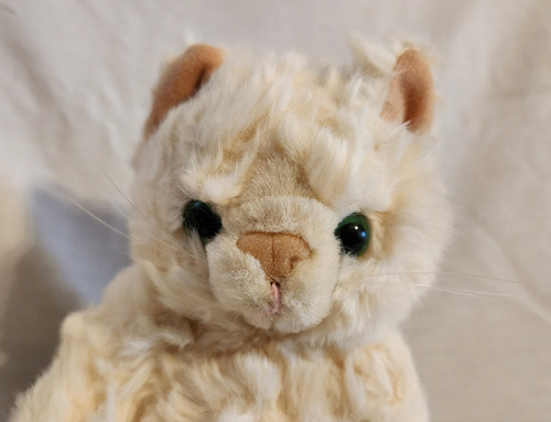 Gato Blanco Peluche - Rac Blanco (Usado)