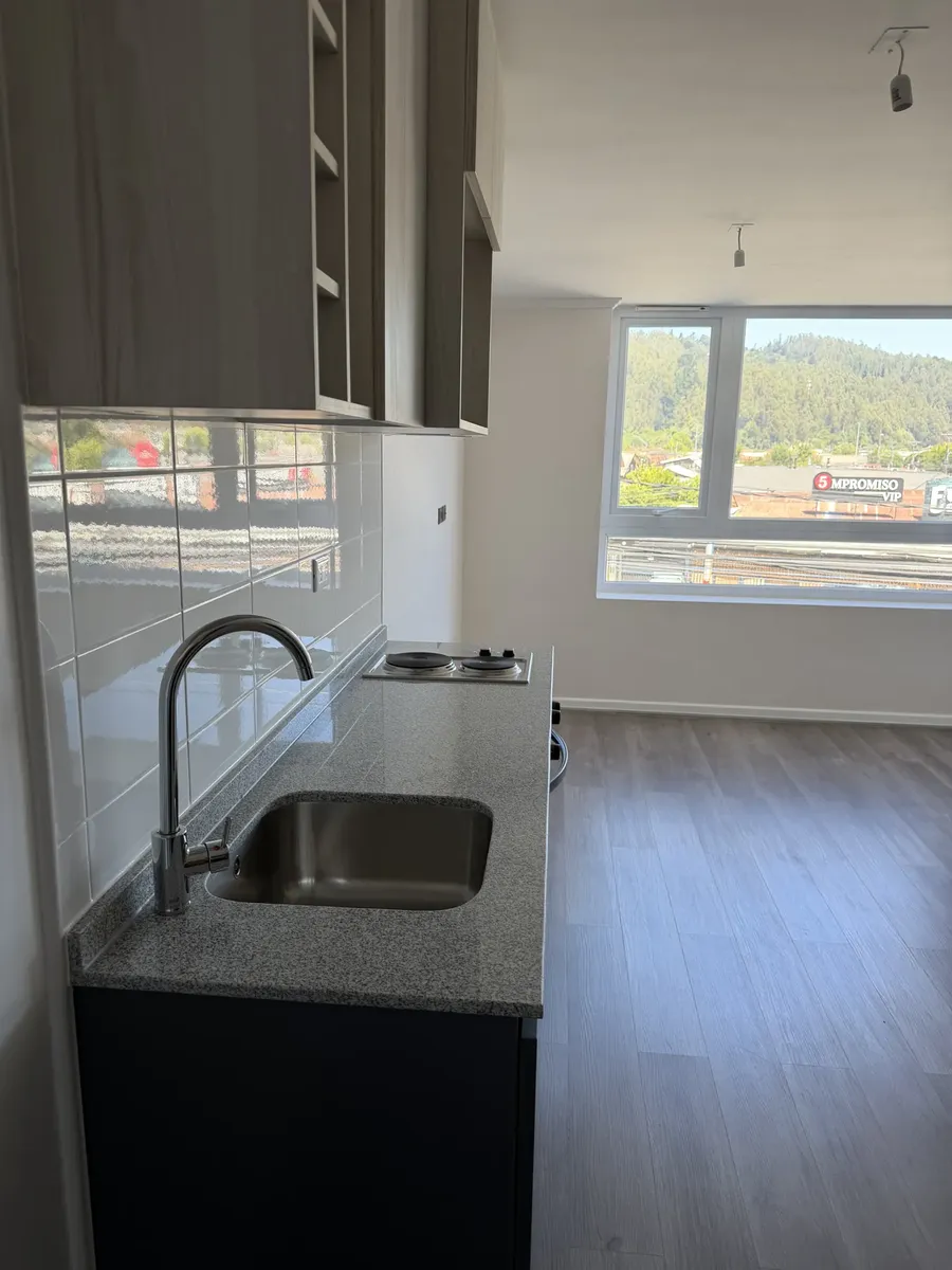 Imagen 5 de 6 de Departamento Nuevo En Arriendo En Collao