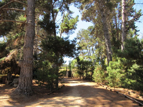 Alta Plusvalía, Terreno Con Piscina, Quincho, Pozo, Riego.