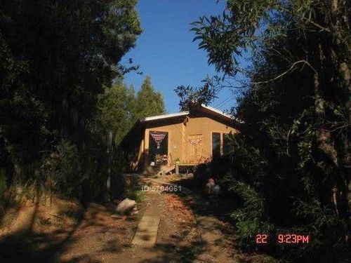 Imagen 3 de 13 de Camino Nonguen S / N , Sector Reserva De Nonguen Concepción