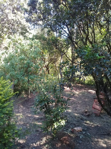 Chacara Ótimo Lugar