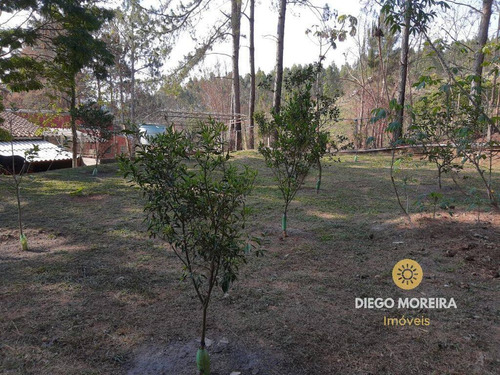 Imagem 7 de 15 de Chácara Á Venda Em Atibaia Com 12.000 M² - Ch169