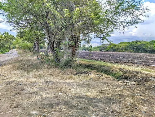 Ginebra, 11.200 M2, Lote En Venta.