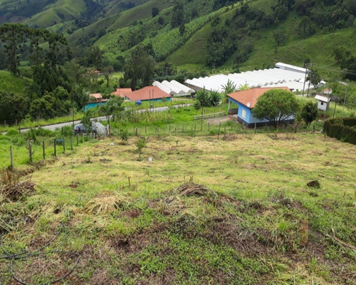 Imagem 3 de 4 de Vendo Chácara Com 2000 M² Em Maria Da Fé, 500 Metros Do Asfalto E Ótima Topografia. - Ch00007 - 69427634