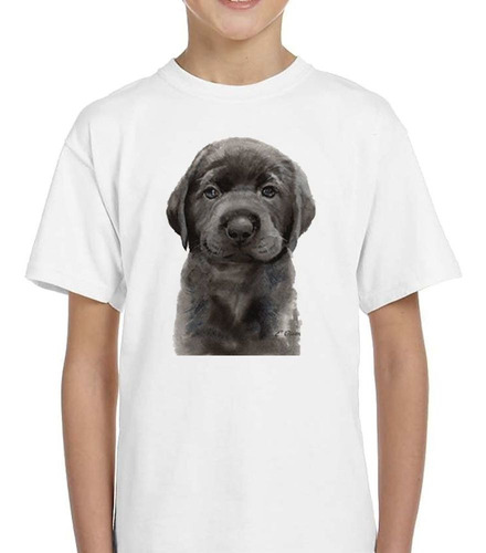 Remera De Niño Perro Labrador Chocolate Bebe Puppy