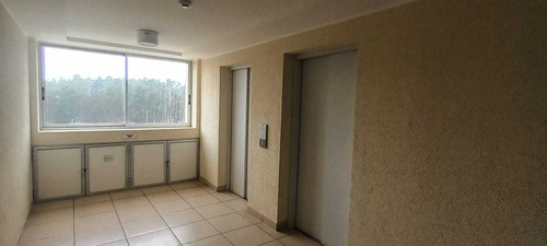 Arriendo Depto. Amoblado Algarrobo 2d 2b (98230)