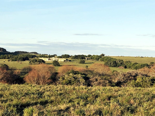 Imagen 4 de 9 de Campo - José Ignacio