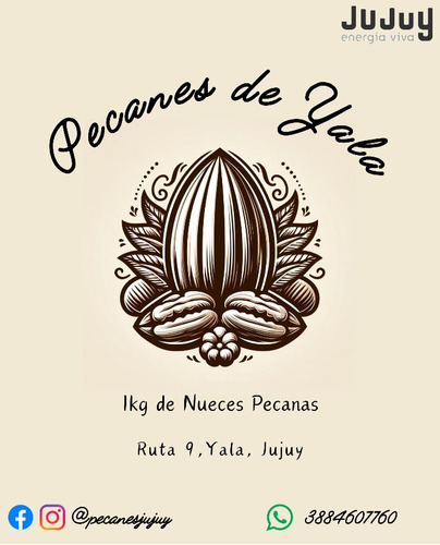 Nueces De Pecan 1kg