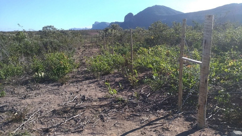 Imagem 6 de 14 de Terreno 2ha Com Casa P/ Chácara Mucugê Chapada Diamantina Ba