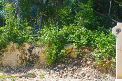 Una De Las Mejores Playas De La Riviera Maya Xpu Ha Entre Puerto Aventuras Y Akumal, Financiami...