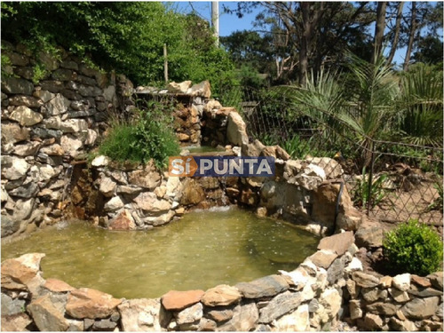 Imagen 5 de 30 de Exclusiva Casa En Laguna De Diario, Primera Calidad!! Pinares, Punta Del Este