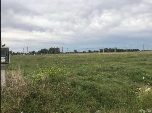 Imagen 6 de 9 de Terreno En Venta En Los Hornos | 80 Bis E/141y142 (lote 14)