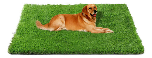 Fhiny Alfombra De Cesped Artificial De 3 X 5 Pies Para Perro