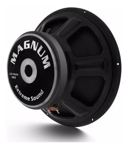 Magnum 12 hot sale woofer