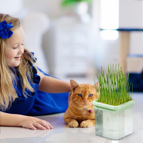 Jardinera De Hierba Para Gatos Caja De Cultivo De Hierba Hid