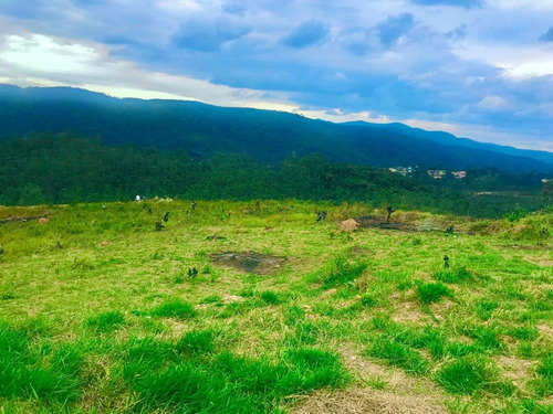 Imagem 5 de 5 de R.s01 Construa Sua Chácara A 10 Minutinhos Do Centro. Vendo Terrenos Em Mairiporã -sp