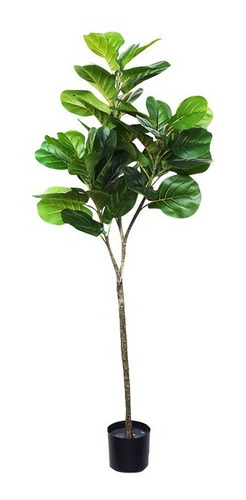 Ficus + Maceta Pandurata Planta Artificial Grande  1,50 Mts