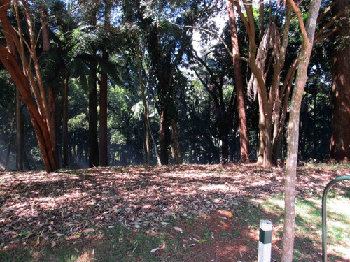 Imagem 23 de 28 de Terreno-são Paulo-alto Da Boa Vista | Ref.: Reo38411 - Reo38411