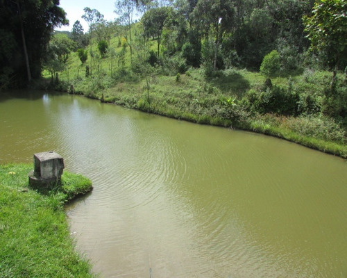 Imagem 4 de 9 de Sitio - 04340 - 33229065