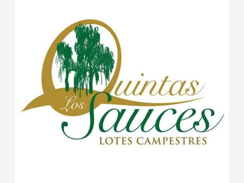 Imagen 7 de 9 de Terreno En Venta Fracc. Quinta Los Sauces
