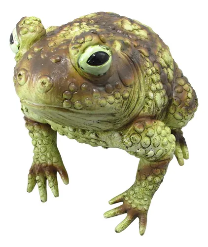 Estatua Gigante De Sapo De Goma, Decoración De Animale...