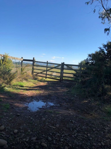 Vende Parcela En Nueva Imperial