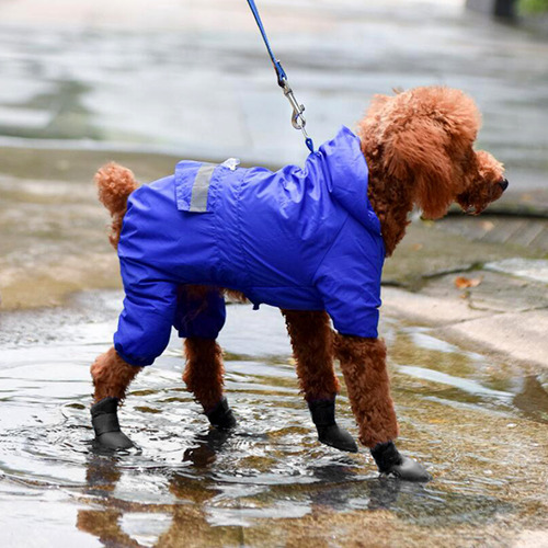 General Botas De Silicona Para Mascotas Para Días Lluviosos