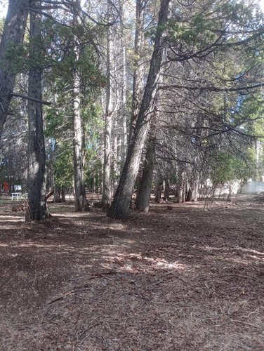 Chacra En Costa Del Lago Lezana, Cholila, Chubut