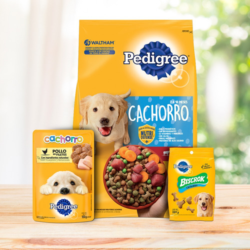 Imagen 8 de 9 de Pedigree Alimento Seco Para Perro Cachorro 15kg