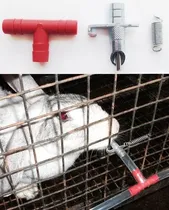 Comprar Bebederos Automaticos Para Conejos Y Cuyes. Niple