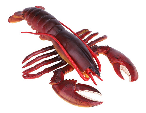 Restaurante De Mariscos Suaves Con Simulación De Decoración