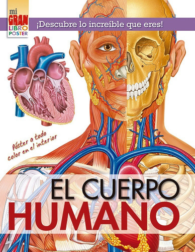 Mi Gran Libro Póster: Cuerpo Humano - Xact Studio