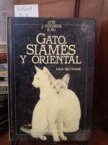 Críe Y Conozca A Su Gato Siamés Y Oriental // Maia Beltrame
