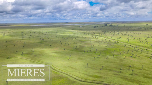Campo En Rocha Ganadero Agrícola 125ha (ref: Atm-7988)